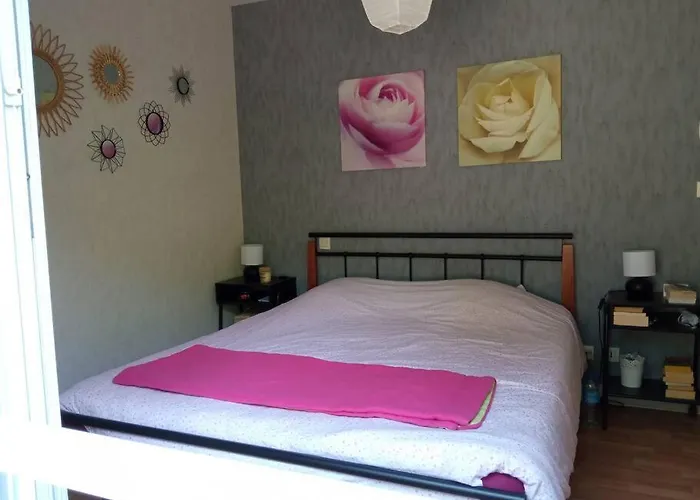 Appartement Location Boucau